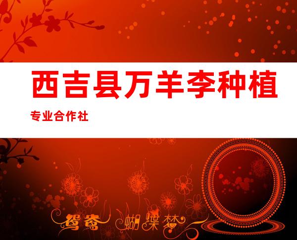 西吉县万羊李种植专业合作社