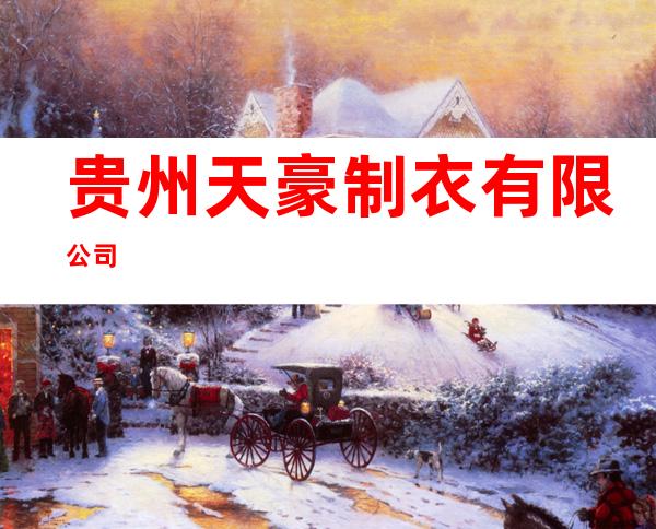 贵州天豪制衣有限公司