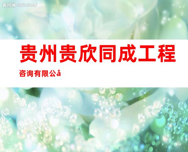 贵州贵欣同成工程咨询有限公司