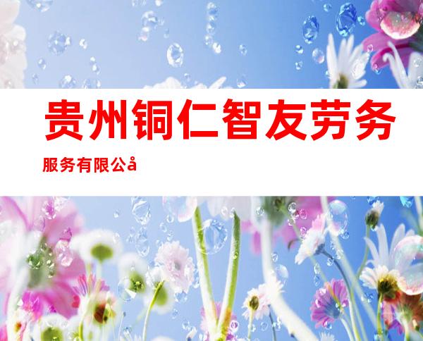 贵州铜仁智友劳务服务有限公司