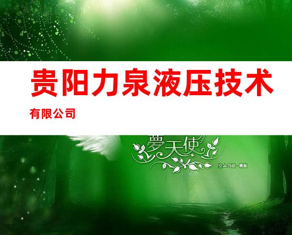 贵阳力泉液压技术有限公司