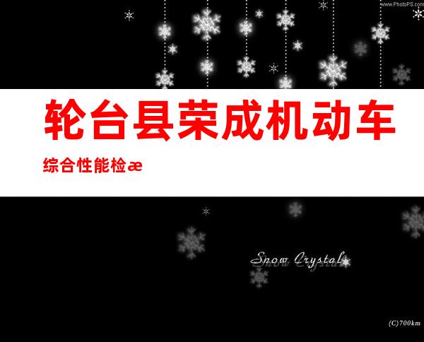 轮台县荣成机动车综合性能检测站