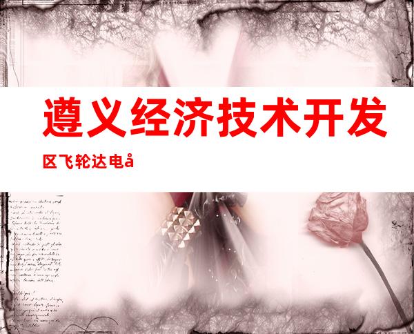遵义经济技术开发区飞轮达电子开发有限公司