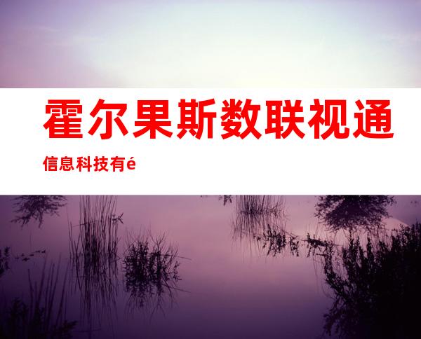 霍尔果斯数联视通信息科技有限公司