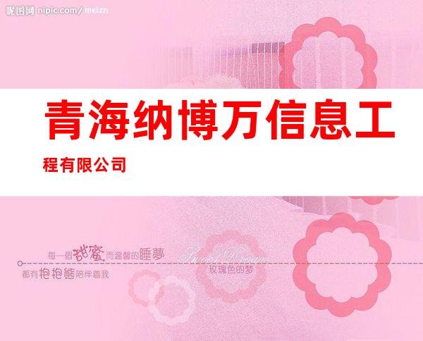 青海纳博万信息工程有限公司