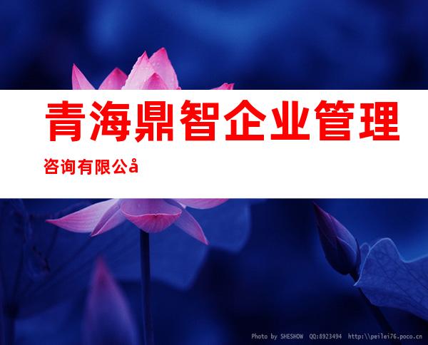 青海鼎智企业管理咨询有限公司