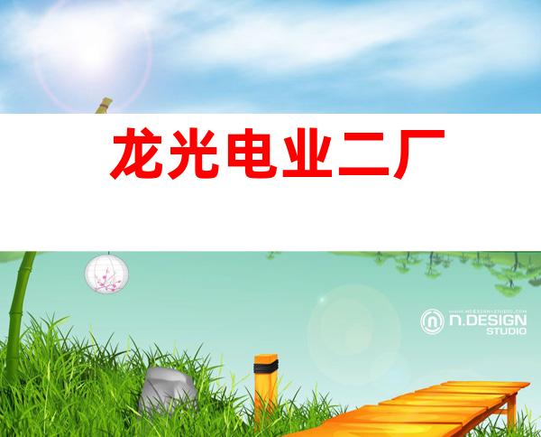 龙光电业二厂